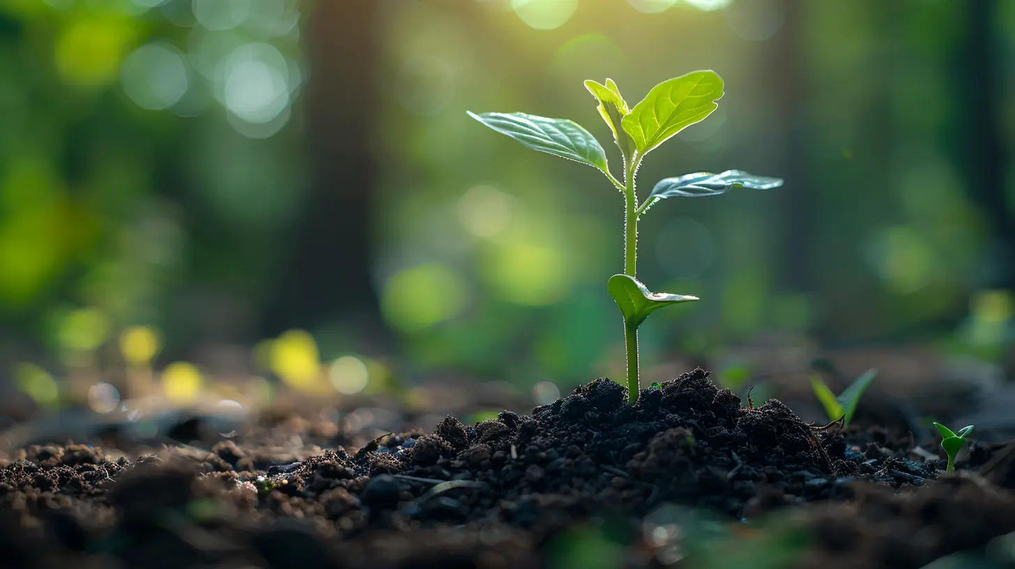 Financial Literacy: Why It’s Essential and Where to Start