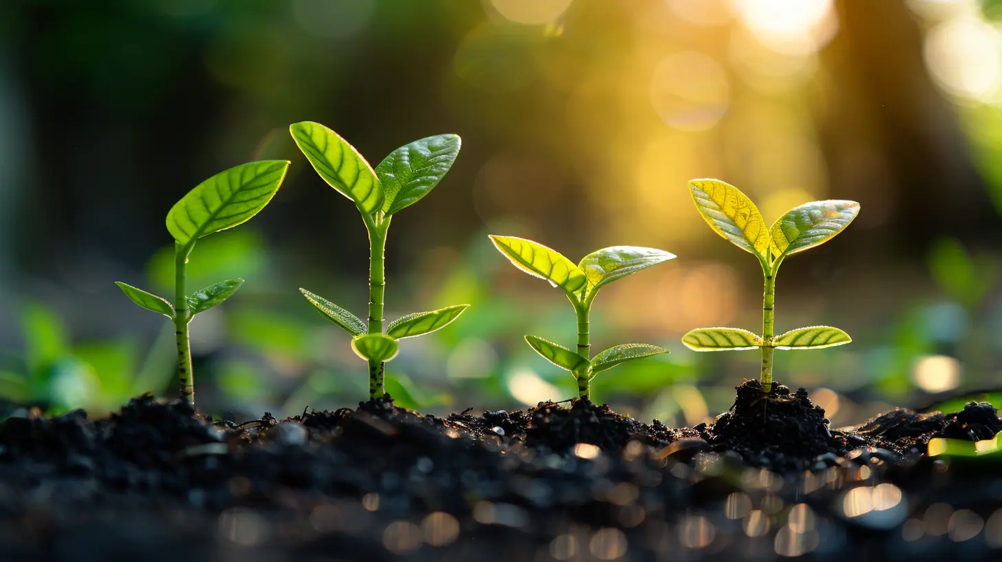 How to Maximize the Value of Your Financial Advisor's Guidance