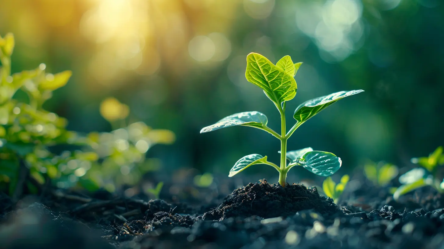How to Minimize Capital Gains for Wealth Maintenance
