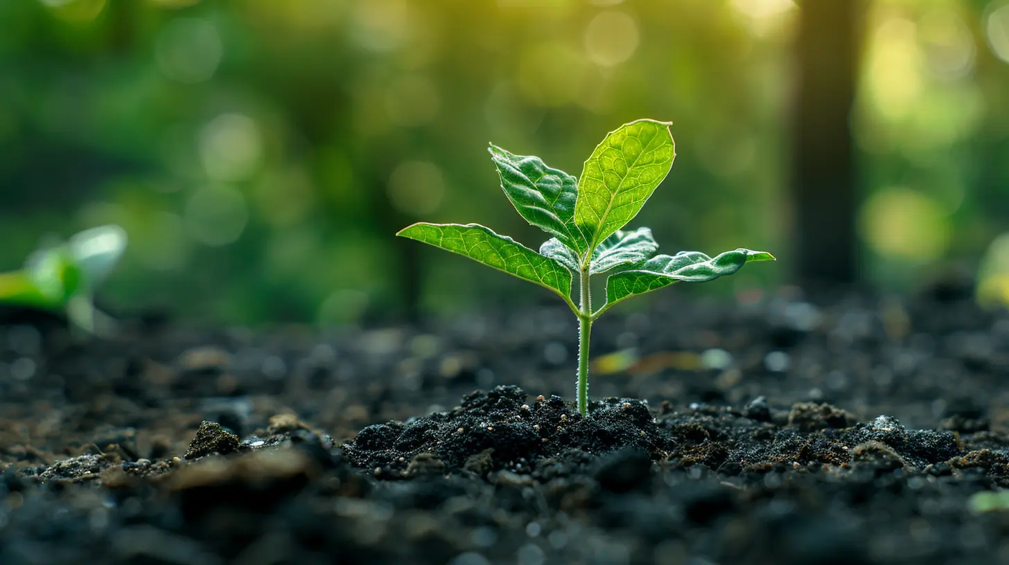 IRA Beneficiaries: What You Should Know