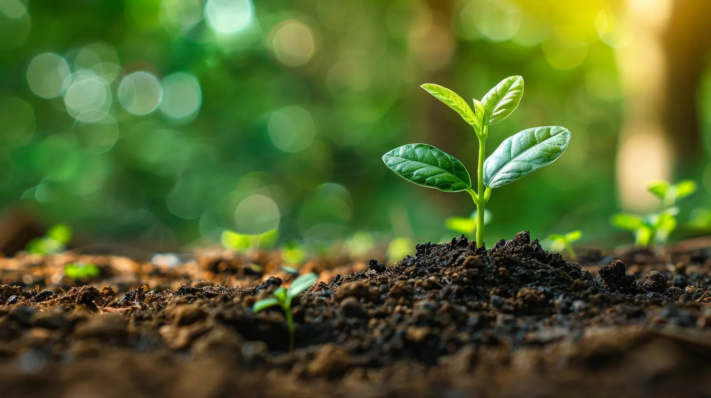 Self-Employed? Why a SEP IRA Might Be Your Top Choice