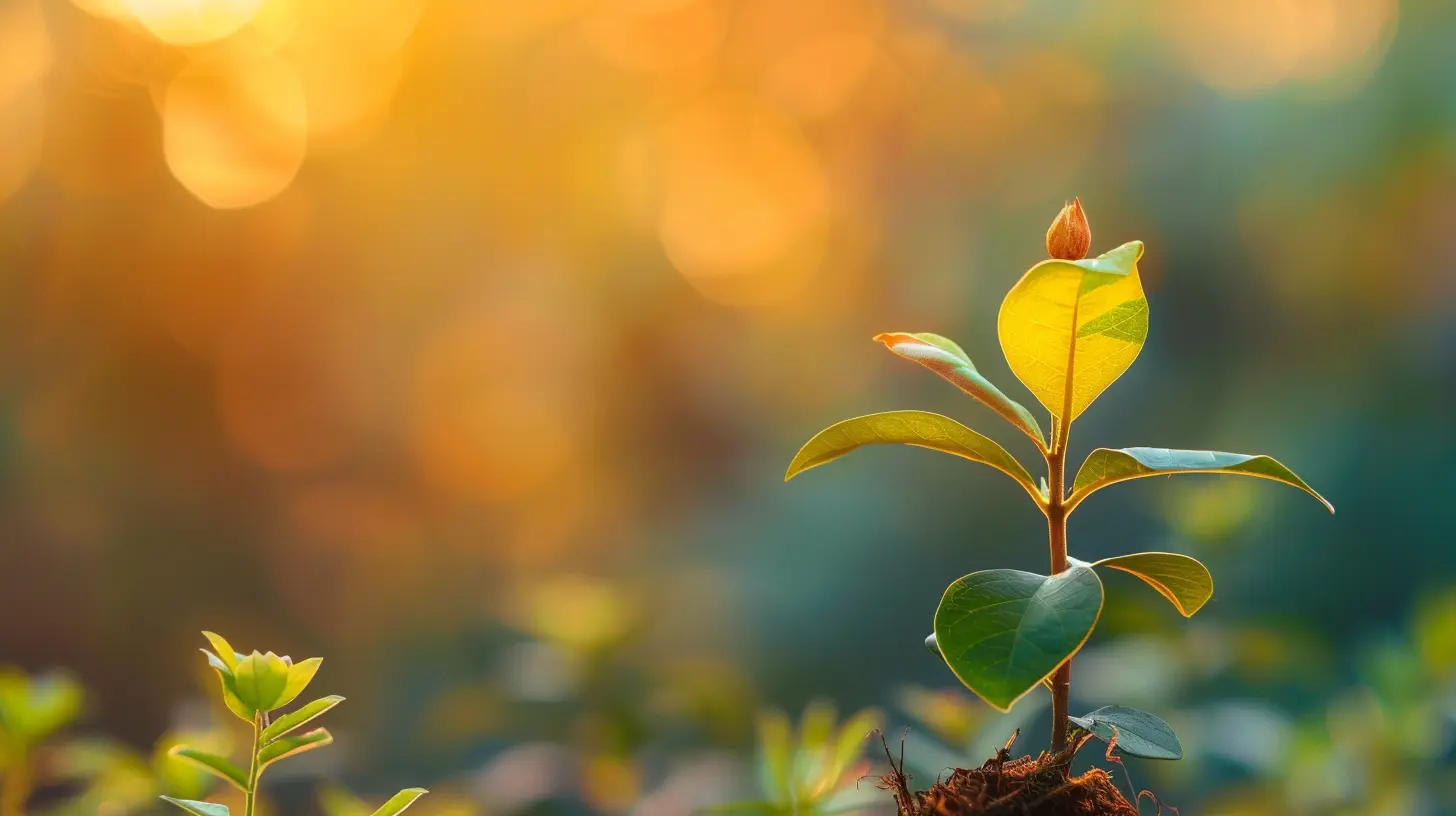 The Role of a Financial Advisor in Estate Planning