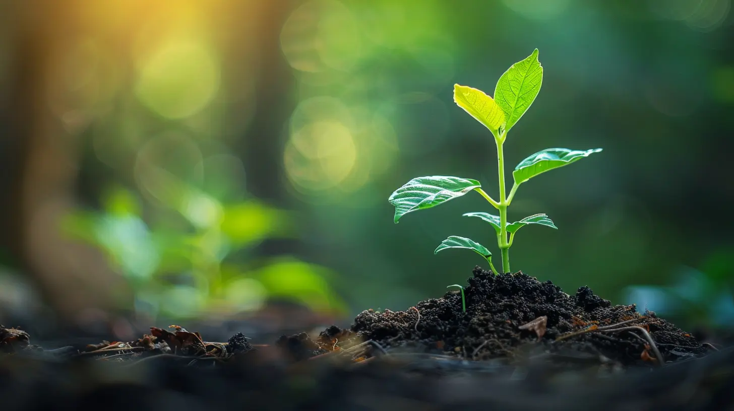 Transitioning Wealth to the Next Generation: Best Practices