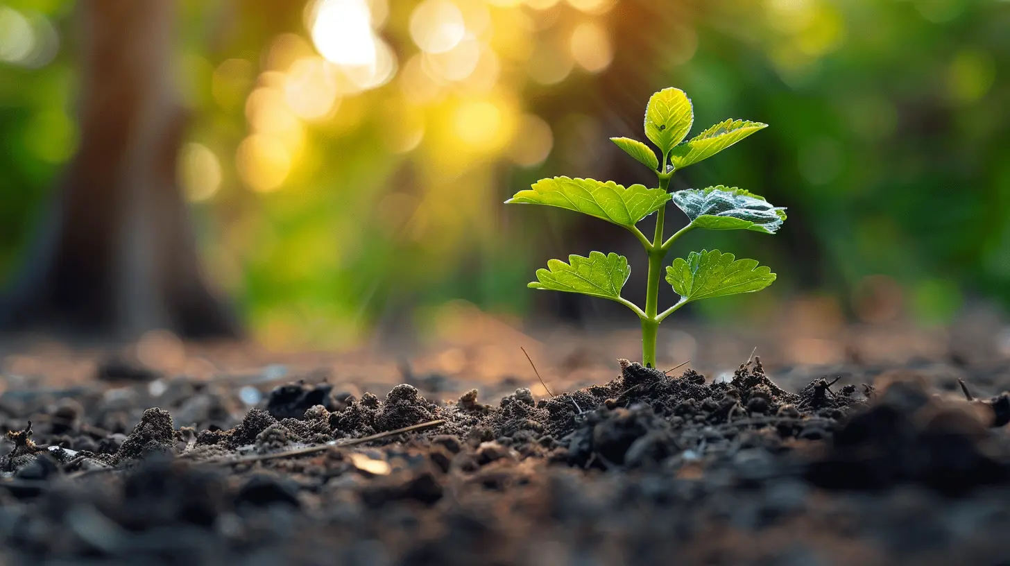 Working with a Financial Advisor After a Major Life Event