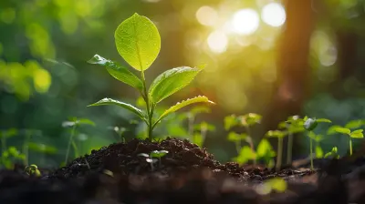 How To Use Dividends To Accelerate Wealth Creation