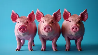 Ira Contributions What To Do If You Overcontribute