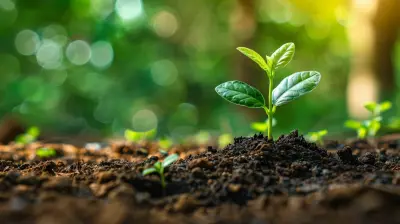 Self-Employed? Why a SEP IRA Might Be Your Top Choice