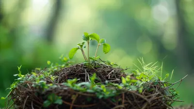 Setting Up a 401(k) Rollover Into an IRA