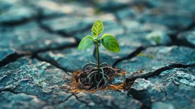 The Connection Between Frugality and Financial Independence