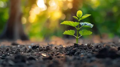 Working with a Financial Advisor After a Major Life Event