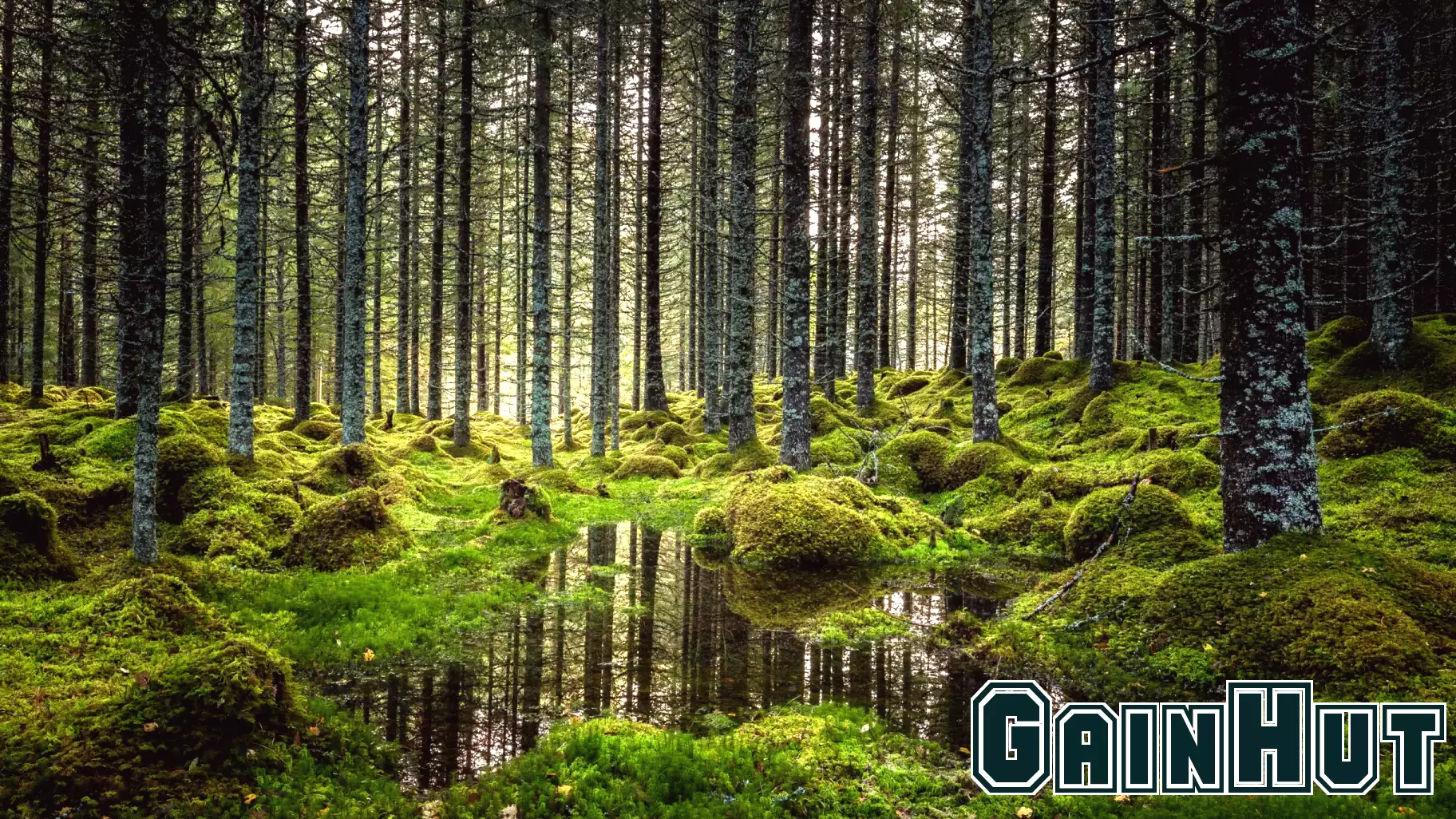 Evaluating the Effectiveness of Climate Finance