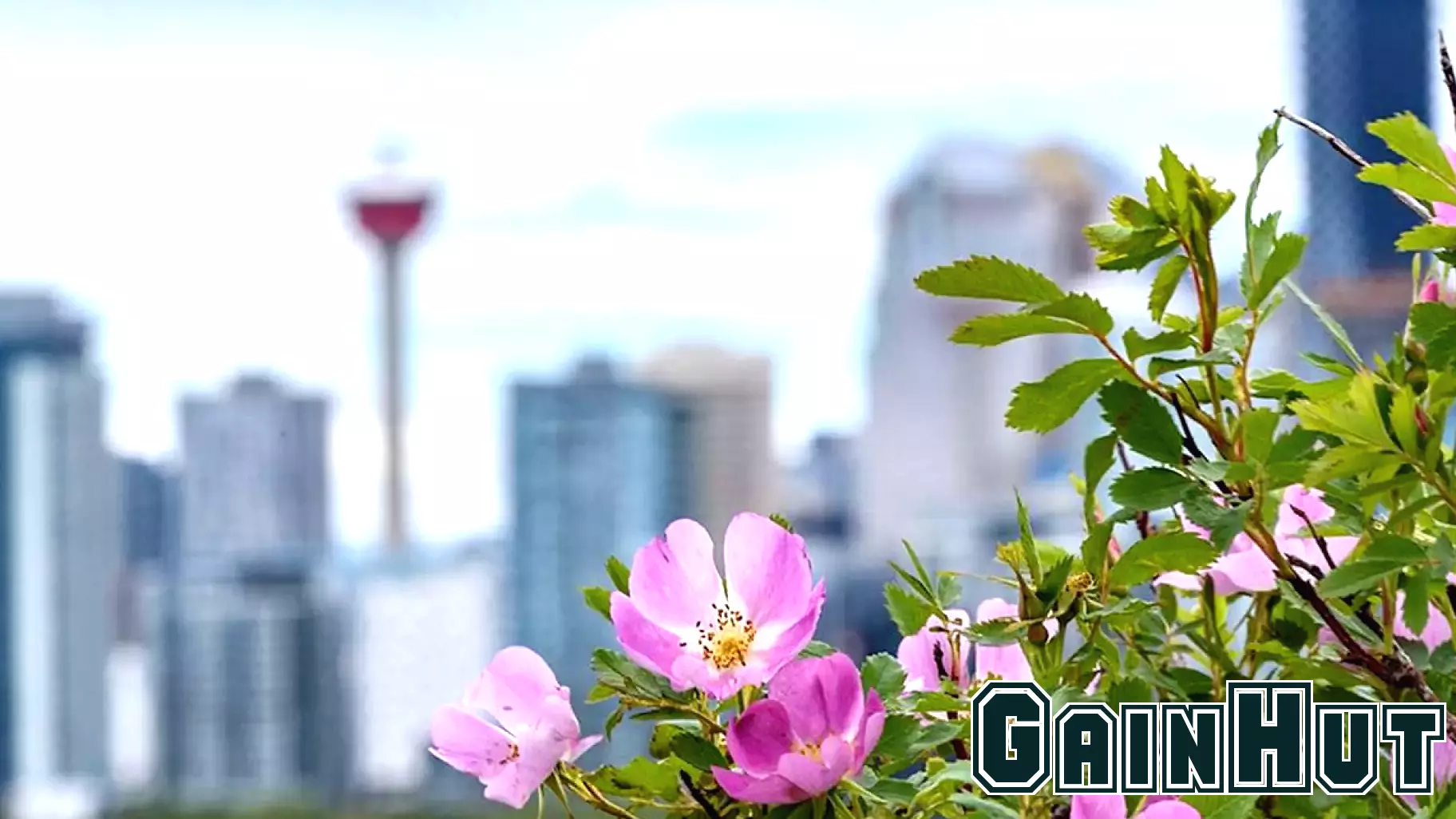 Provincial Finances: Alberta and Saskatchewan Lead the Pack