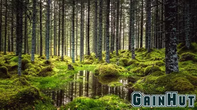 Evaluating the Effectiveness of Climate Finance