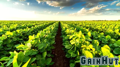 Expansion of the Regenerative Agriculture Finance Program in Its Second Year