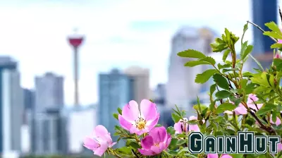 Provincial Finances: Alberta and Saskatchewan Lead the Pack