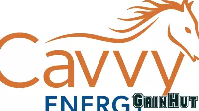 Strong Financial Performance in Q2 2025 Highlights Growth and Debt Reduction
