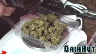 Texas Smoke Clears: Hemp Ban Leaves Businesses Bracing for Loss